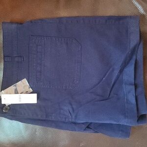 Navy Blue Casual Shorts J Crew